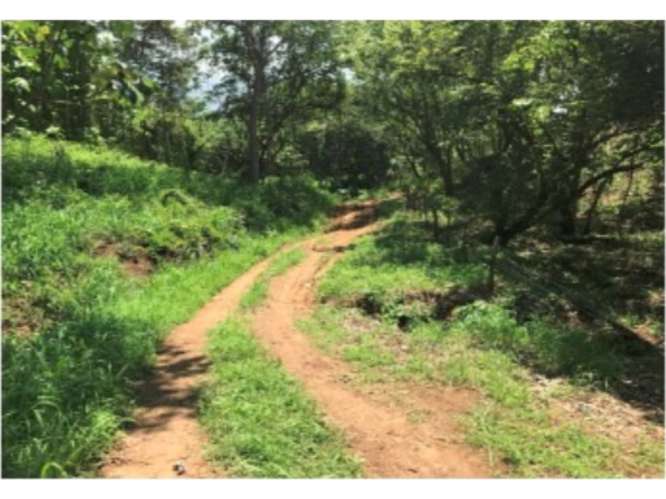 Terreno en venta con vista al mar en Paquera - Imagen 7