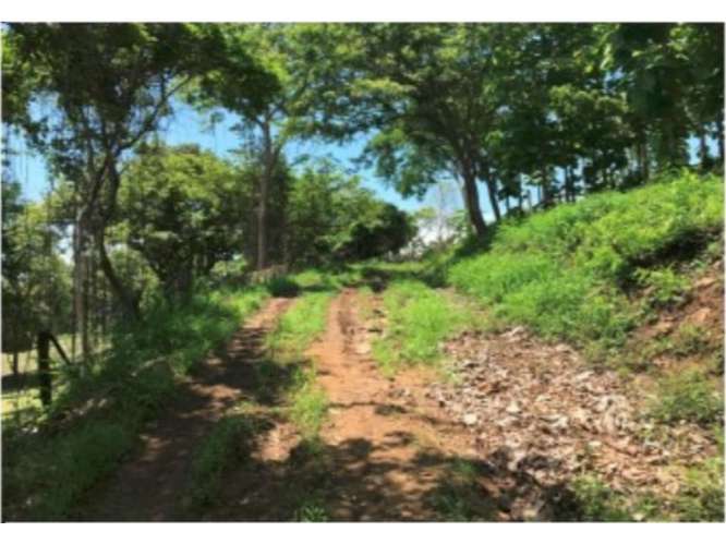 Terreno en venta con vista al mar en Paquera - Imagen 4