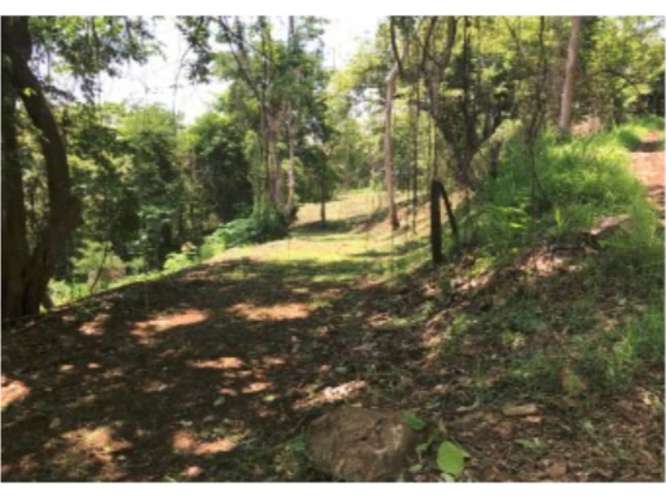 Terreno en venta con vista al mar en Paquera - Imagen 5