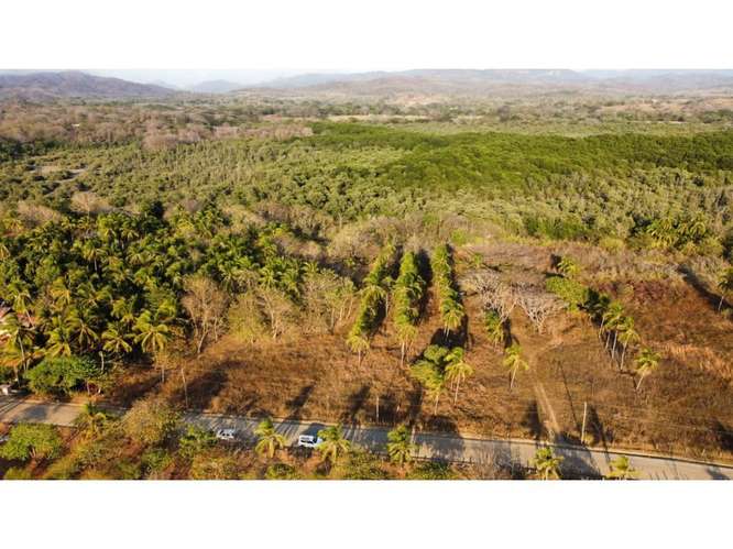 Lote en venta en Junquillal para invertir y desarrollar. 6986972 - Imagen 8