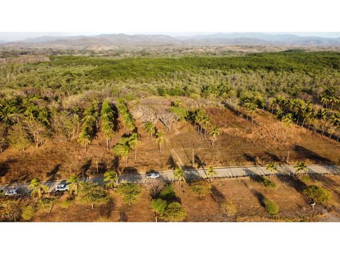 Lote en venta en Junquillal para invertir y desarrollar. 6986972 - Imagen 6