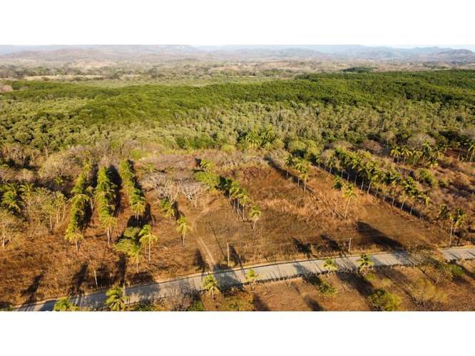 Lote en venta en Junquillal para invertir y desarrollar. 6986972 - Imagen 9