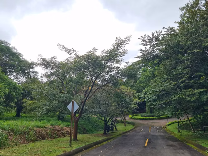 Venta de Lotes en Ciudad Colón, Condominio Hacienda los Bambués. - Imagen 6