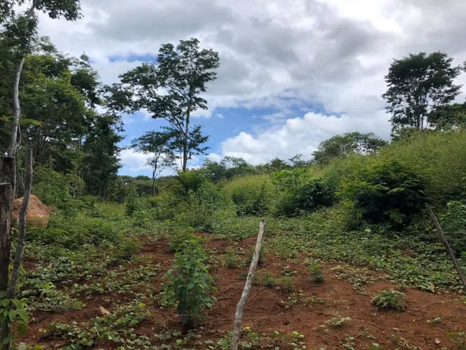 Lote Estratégico Tamarindo Guanacaste | Potencial Comercial Residencial - Imagen 19