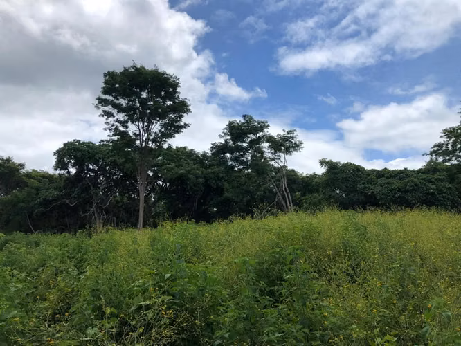 Lote Estratégico Tamarindo Guanacaste | Potencial Comercial Residencial - Imagen 27