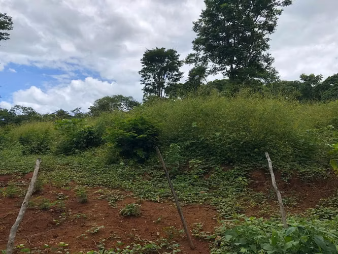 Lote Estratégico Tamarindo Guanacaste | Potencial Comercial Residencial - Imagen 25