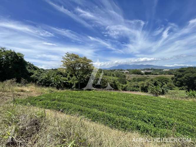 Finca Tambor de Alajuela - Precio Reducido