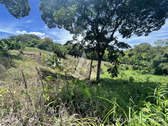 Finca Tambor de Alajuela - Precio Reducido