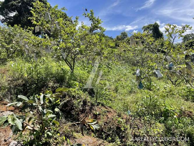 Finca Tambor de Alajuela - Precio Reducido