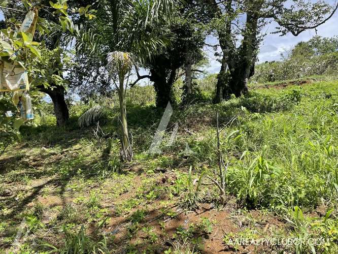 Finca Tambor de Alajuela - Precio Reducido