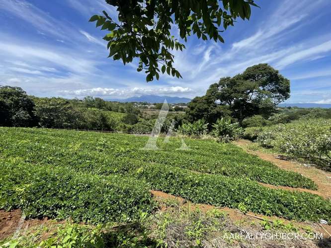 Finca Tambor de Alajuela - Precio Reducido