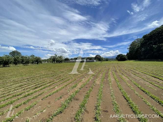 Finca Tambor de Alajuela - Precio Reducido