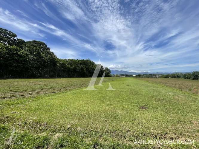 Farm Tambor de Alajuela - Reduced Price