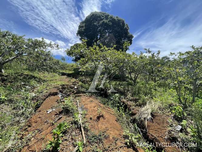 Finca Tambor de Alajuela - Precio Reducido