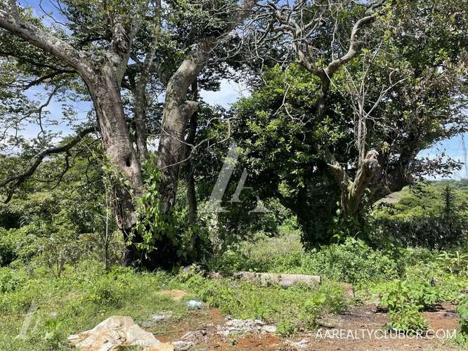 Finca Tambor de Alajuela - Precio Reducido