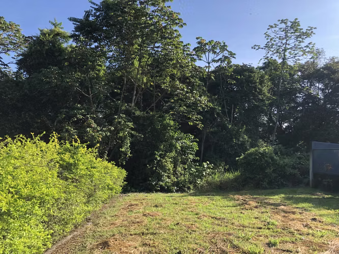 Lote en Venta Condominio Valle Escondido en San Pablo de Turrubares - Imagen 17
