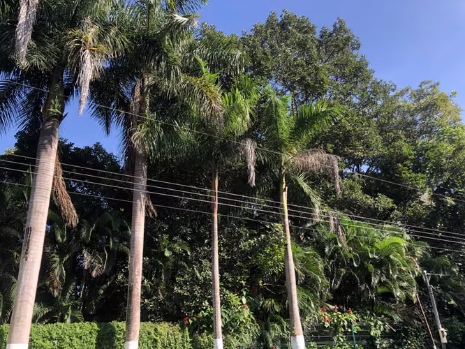 Lote en Venta Condominio Valle Escondido en San Pablo de Turrubares - Imagen 18
