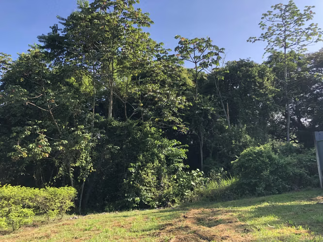 Lote en Venta Condominio Valle Escondido en San Pablo de Turrubares - Imagen 16