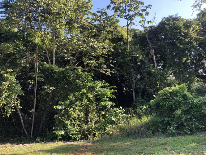 Lote en Venta Condominio Valle Escondido en San Pablo de Turrubares - Imagen 14