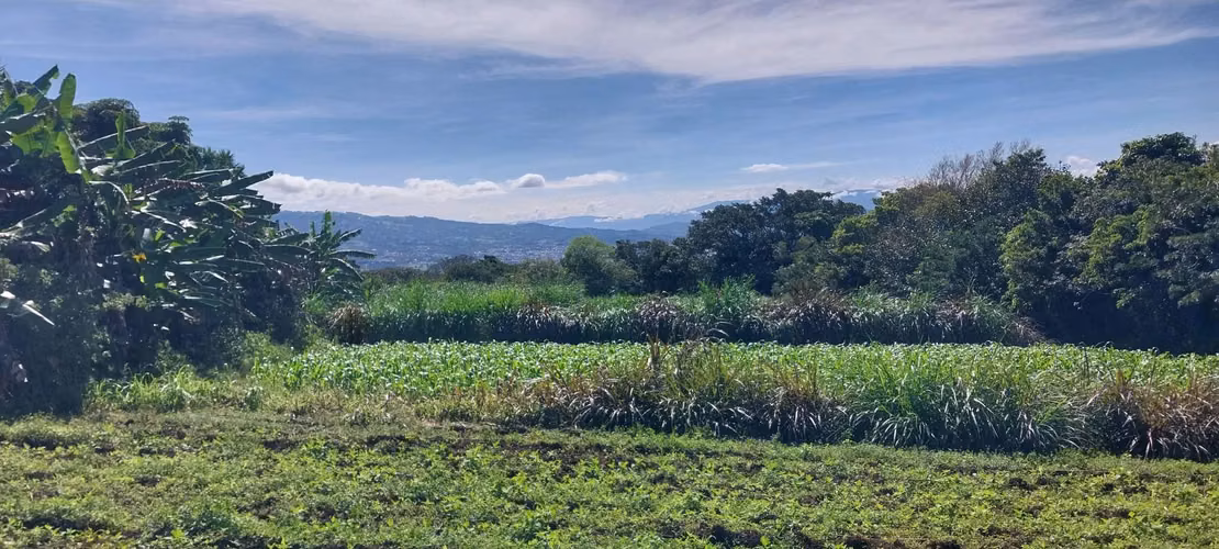 Terreno con hermosa vista, Concepcion de San Rafael, 6,883mtrs2 - Imagen 5