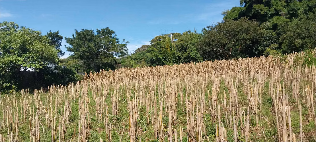 Terreno con vista panoramica,  San Rafael de Heredia, 6,883mtrs2