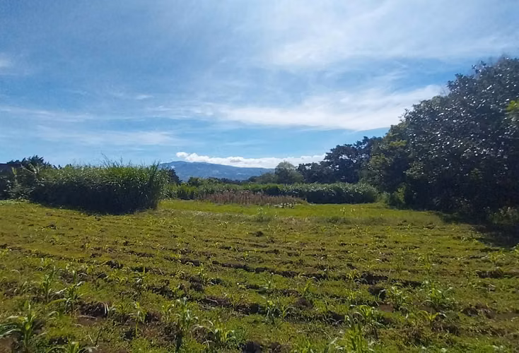 Terreno con vista panoramica,  San Rafael de Heredia, 6,883mtrs2