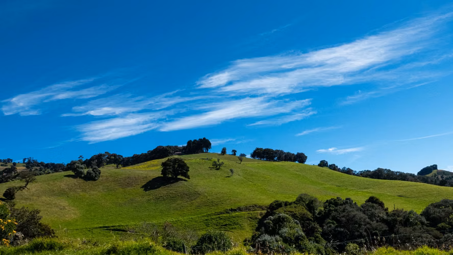 Mega Finca Ganadera con Pista de Aterrizaje – Bagaces (5.000 Ha) - Imagen 20