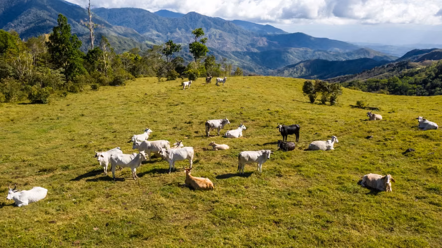 Mega Finca Ganadera con Pista de Aterrizaje – Bagaces (5.000 Ha) - Imagen 5