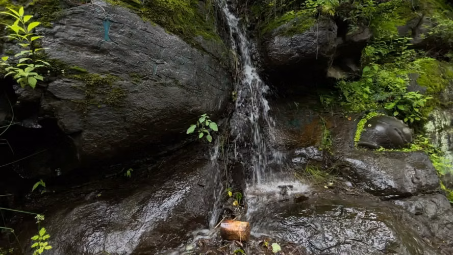 Mega Finca Ganadera con Pista de Aterrizaje – Bagaces (5.000 Ha) - Imagen 2