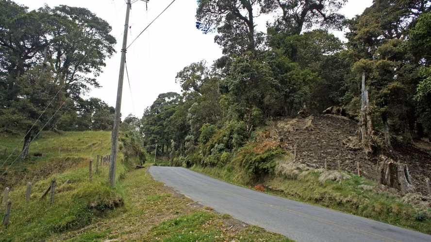 Mega Finca Ganadera con Pista de Aterrizaje – Bagaces (5.000 Ha) - Imagen 10