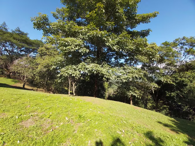 TERRENO EN VENTA EN LA  LIBERTAD DE SAN MATEO ESPECTACULAR VISTA