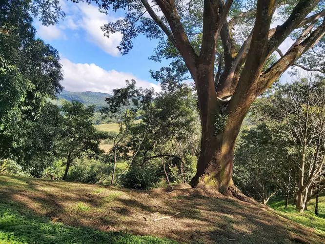 TERRENO EN VENTA EN LA  LIBERTAD DE SAN MATEO ESPECTACULAR VISTA