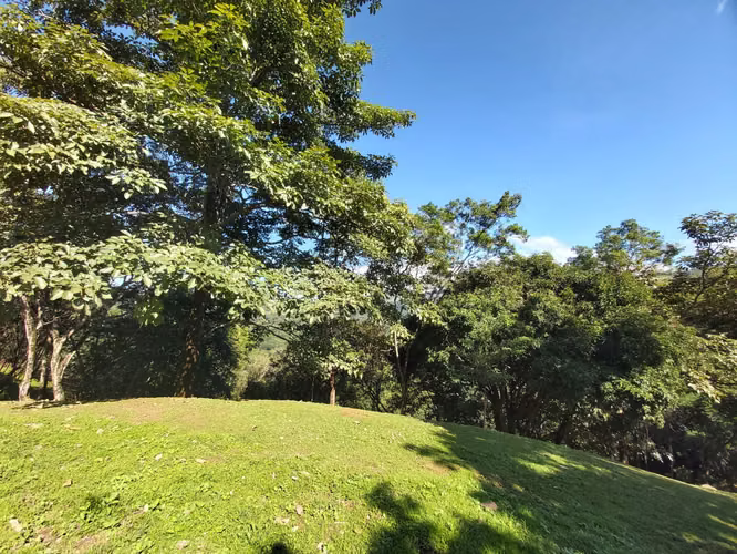 TERRENO EN VENTA EN LA  LIBERTAD DE SAN MATEO ESPECTACULAR VISTA