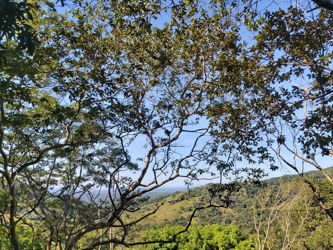 TERRENO EN VENTA EN LA  LIBERTAD DE SAN MATEO ESPECTACULAR VISTA