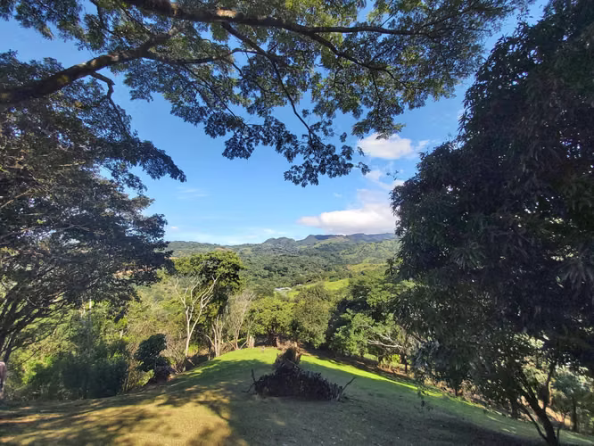 TERRENO EN VENTA EN LA  LIBERTAD DE SAN MATEO ESPECTACULAR VISTA