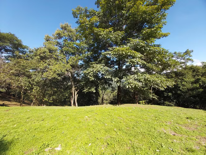 TERRENO EN VENTA EN LA  LIBERTAD DE SAN MATEO ESPECTACULAR VISTA