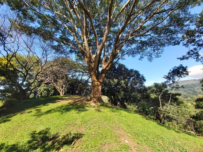 TERRENO EN VENTA EN LA  LIBERTAD DE SAN MATEO ESPECTACULAR VISTA