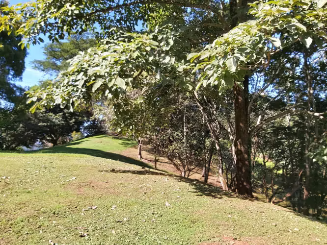 TERRENO EN VENTA EN LA  LIBERTAD DE SAN MATEO ESPECTACULAR VISTA