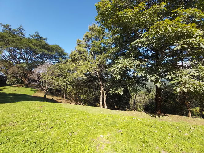 TERRENO EN VENTA EN LA  LIBERTAD DE SAN MATEO ESPECTACULAR VISTA