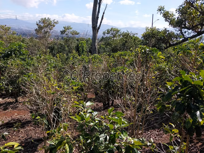 Terreno con vista, San Rafael de Heredia 2,000mtrs2 - Imagen 4