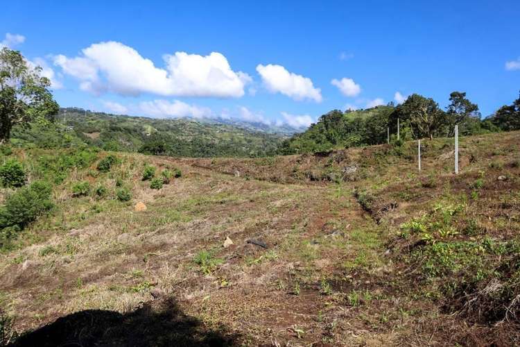 Quintas en Cartago -  CachÍ