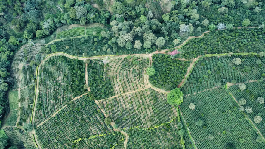 Finca en venta, Alajuela, Naranjo