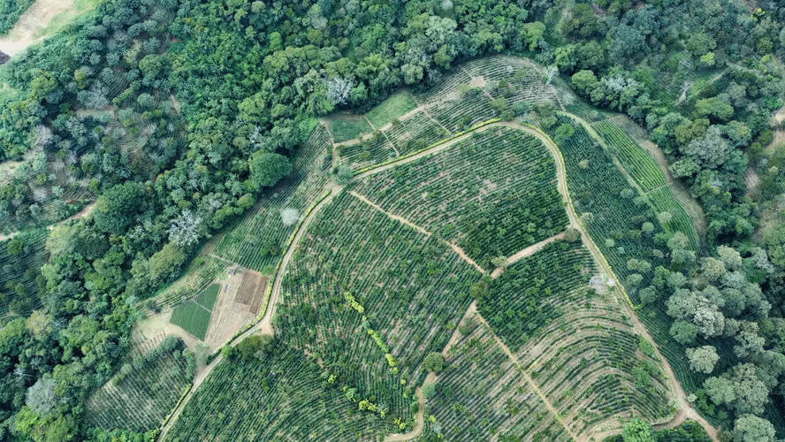 Finca en venta, Alajuela, Naranjo