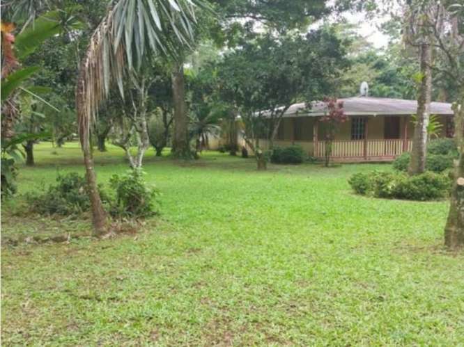 Quinta para la venta en Valle Azul de San Ramón de Alajuela. - Imagen 14