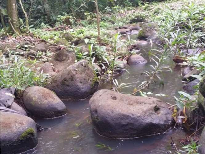 Quinta para la venta en Valle Azul de San Ramón de Alajuela. - Imagen 13