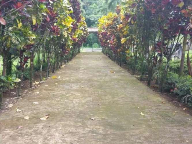 Quinta para la venta en Valle Azul de San Ramón de Alajuela. - Imagen 7