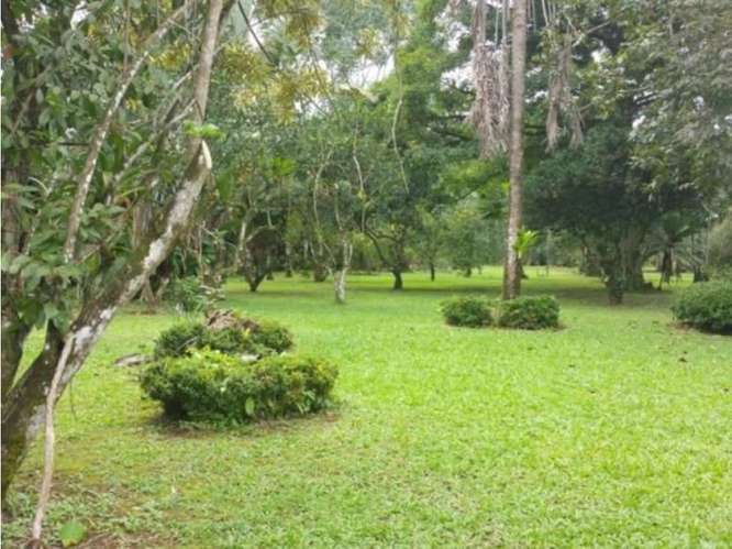 Quinta para la venta en Valle Azul de San Ramón de Alajuela. - Imagen 15