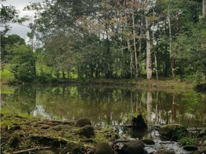 Quinta para la venta en Valle Azul de San Ramón de Alajuela. - Imagen 10