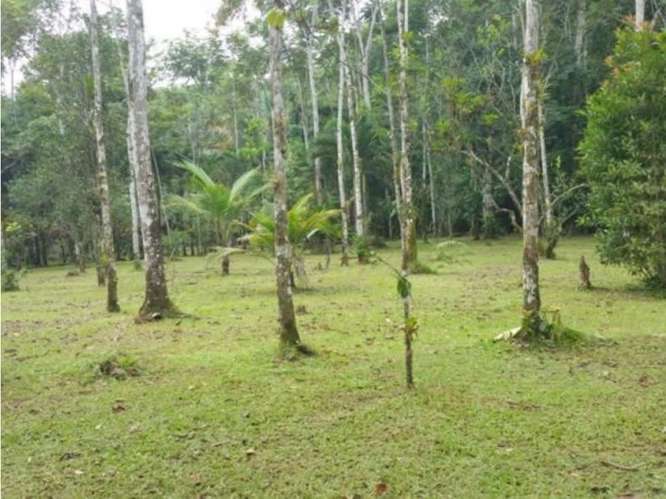 Quinta para la venta en Valle Azul de San Ramón de Alajuela. - Imagen 12