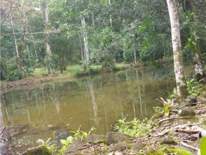Quinta para la venta en Valle Azul de San Ramón de Alajuela. - Imagen 4